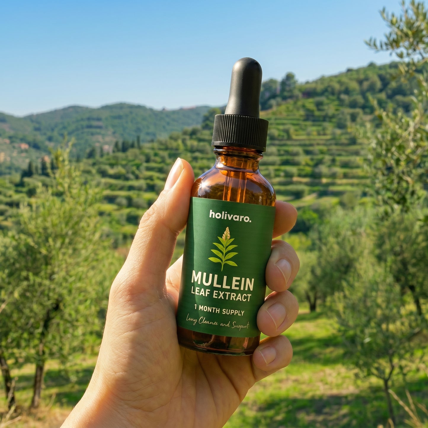 Mullein Lung Support & Cleanse Drops
