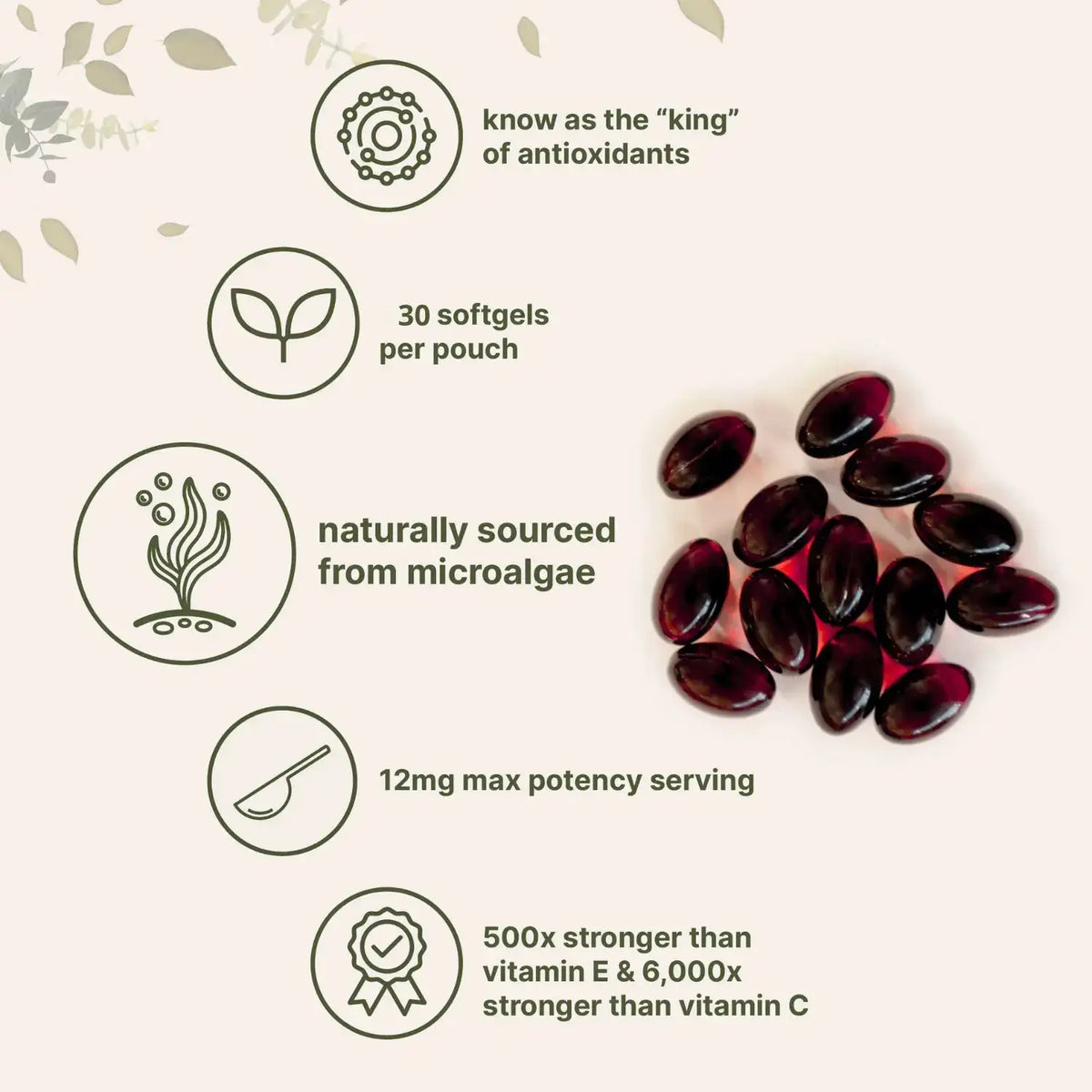 Vitexal Astaxanthin Softgels