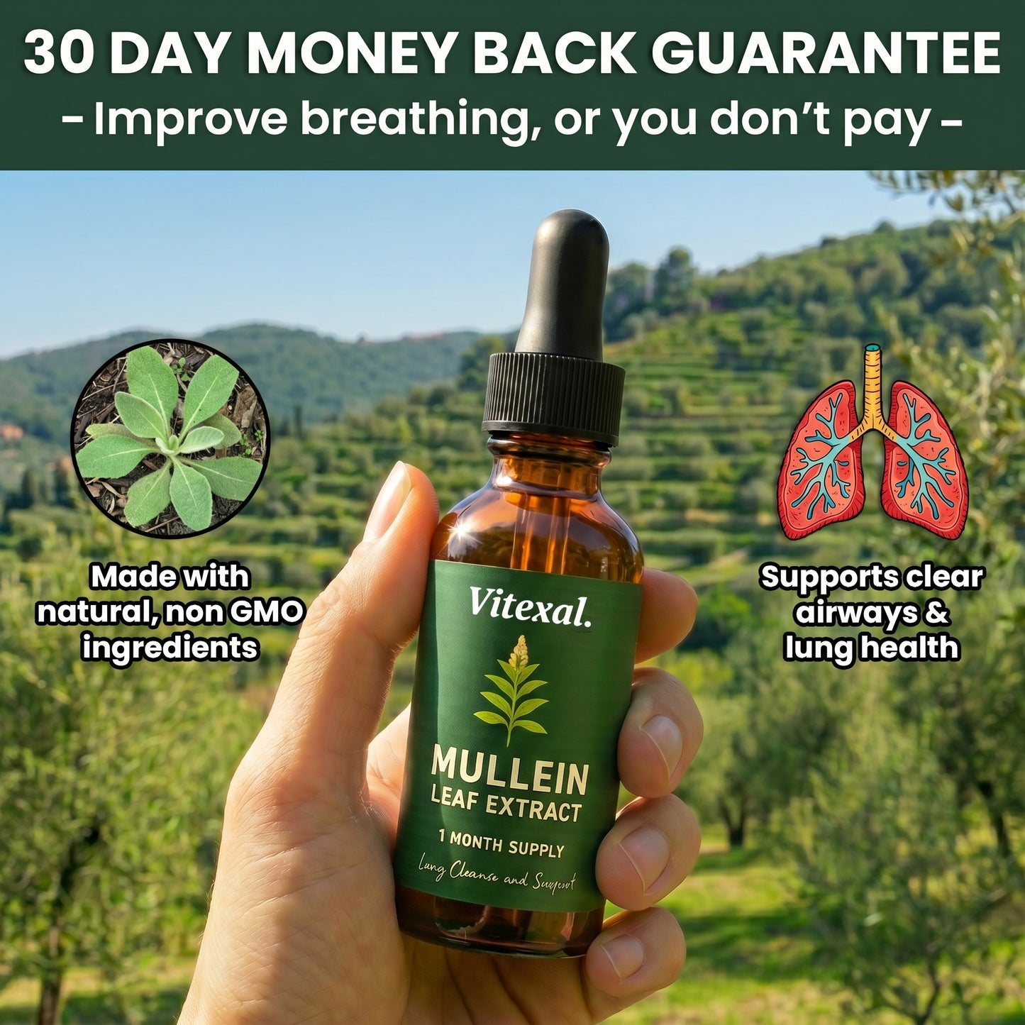 Mullein Lung Support & Cleanse Drops